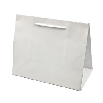Τσάντα για Κουτί Ρολογιού Λευκή 23*12*19
