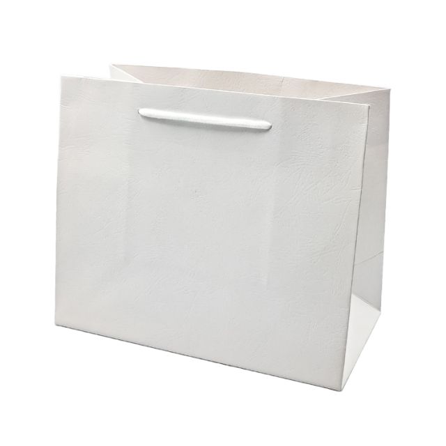 Τσάντα για Κουτί Ρολογιού Λευκή 23*12*19