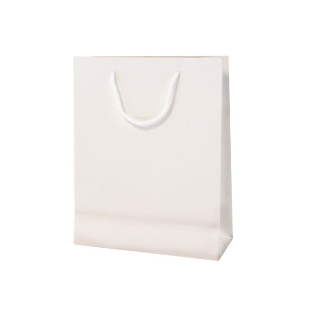 Λευκή Τσάντα 18,5*7,5*23